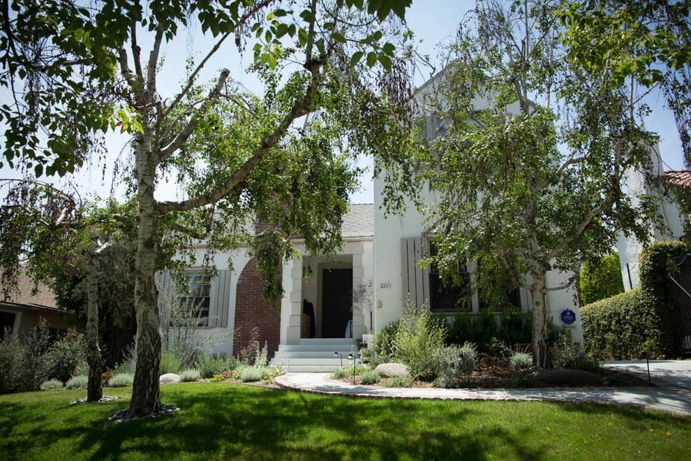 Viola Gardens Drought Tolerant Landscape Projects by Viola Gardens - Photo 10