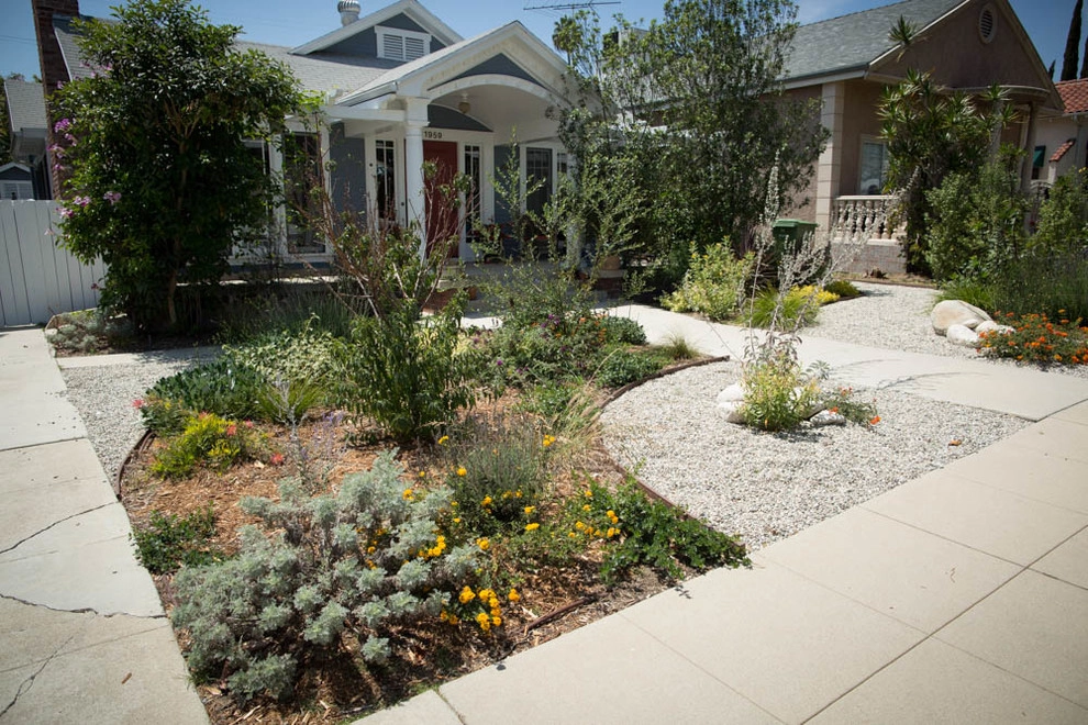 Viola Gardens Drought Tolerant Landscape Projects by Viola Gardens - Photo 24