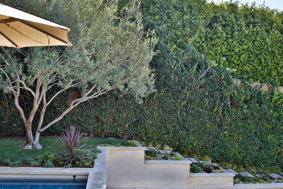 Malibu Drought Tolerant Hillside Oasis by Viola Gardens - Photo 12