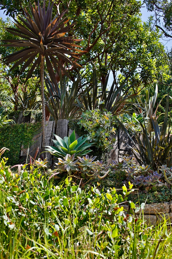 Malibu Drought Tolerant Hillside Oasis by Viola Gardens - Photo 9