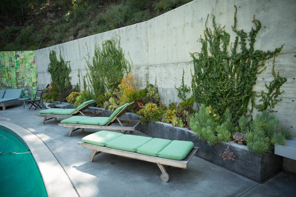 Viola Gardens Drought Tolerant Landscape Projects by Viola Gardens - Photo 41