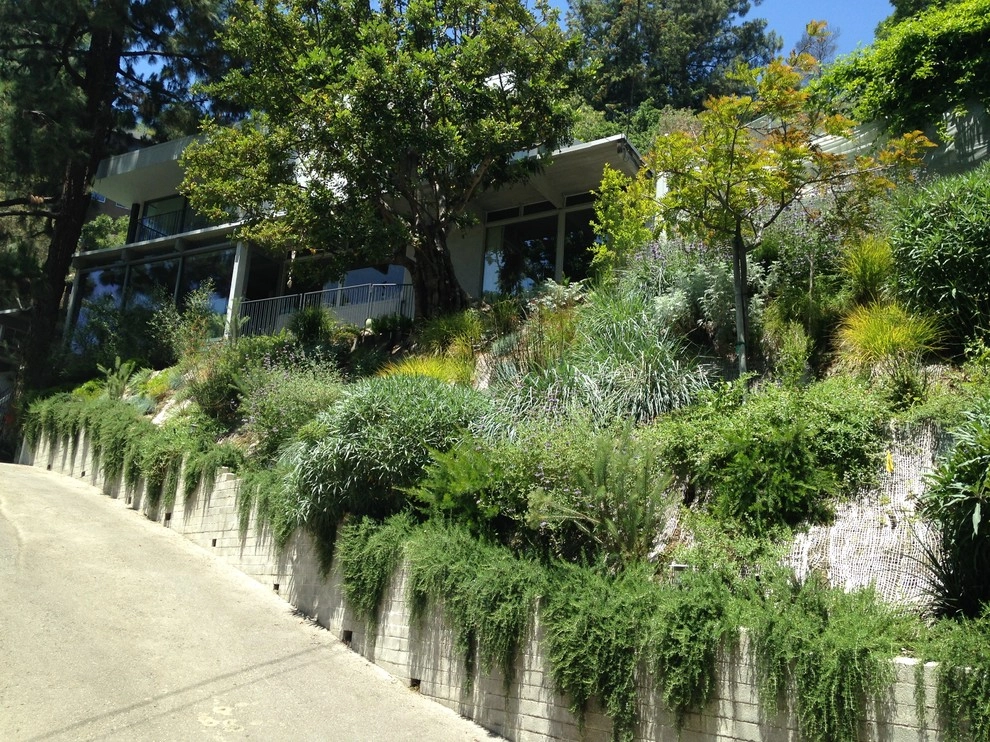 Viola Gardens Drought Tolerant Landscape Projects by Viola Gardens - Photo 37