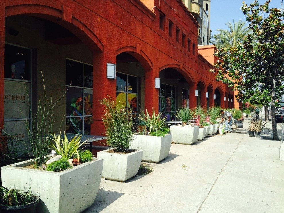 Viola Gardens Drought Tolerant Landscape Projects by Viola Gardens - Photo 2
