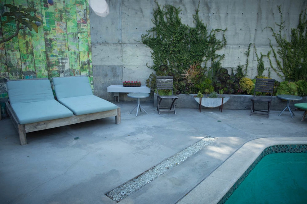 Viola Gardens Drought Tolerant Landscape Projects by Viola Gardens - Photo 45