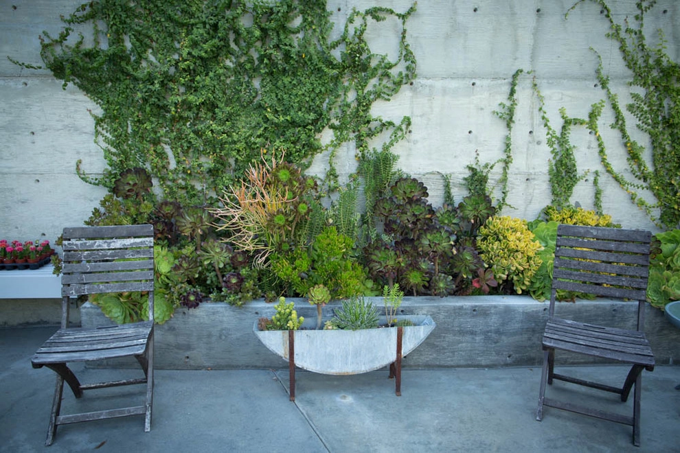 Viola Gardens - Photo 7