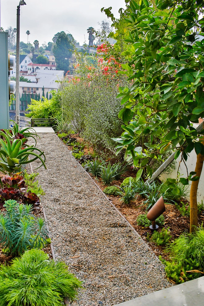 Larissa Drive Drought Tolerant Garden by Viola Gardens - Photo 2