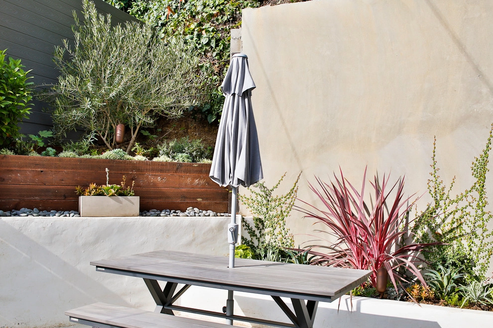 Larissa Drive Drought Tolerant Garden by Viola Gardens - Photo 3