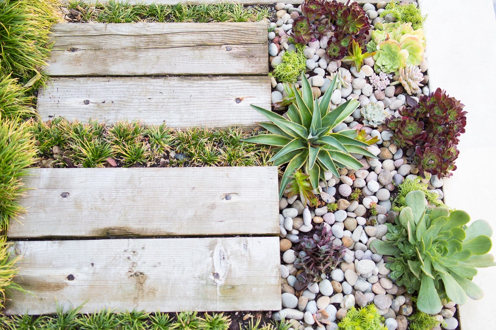 Malibu Drought Tolerant Hillside Oasis by Viola Gardens - Photo 7