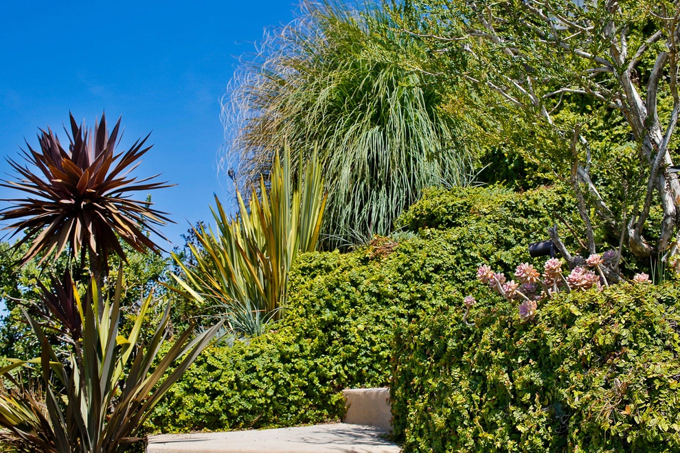 Viola Gardens - Photo 10