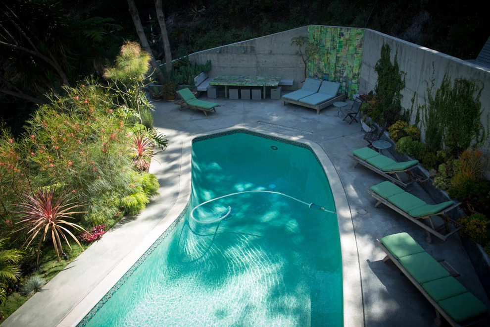 Viola Gardens Drought Tolerant Landscape Projects by Viola Gardens - Photo 30