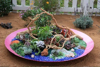 Viola Gardens Drought Tolerant Landscape Projects by Viola Gardens - Photo 43