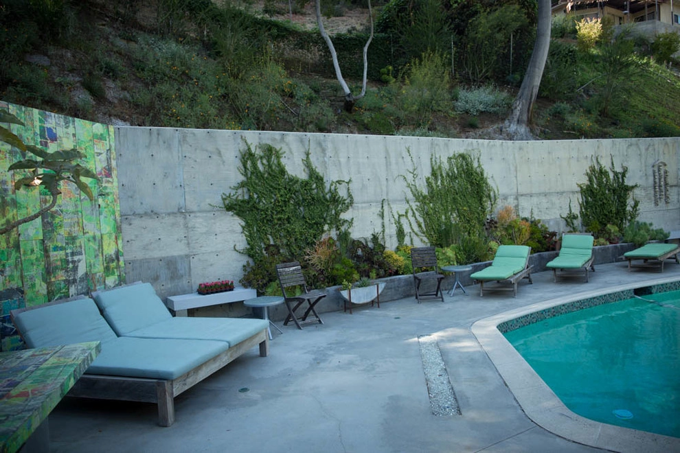 Viola Gardens Drought Tolerant Landscape Projects by Viola Gardens - Photo 32
