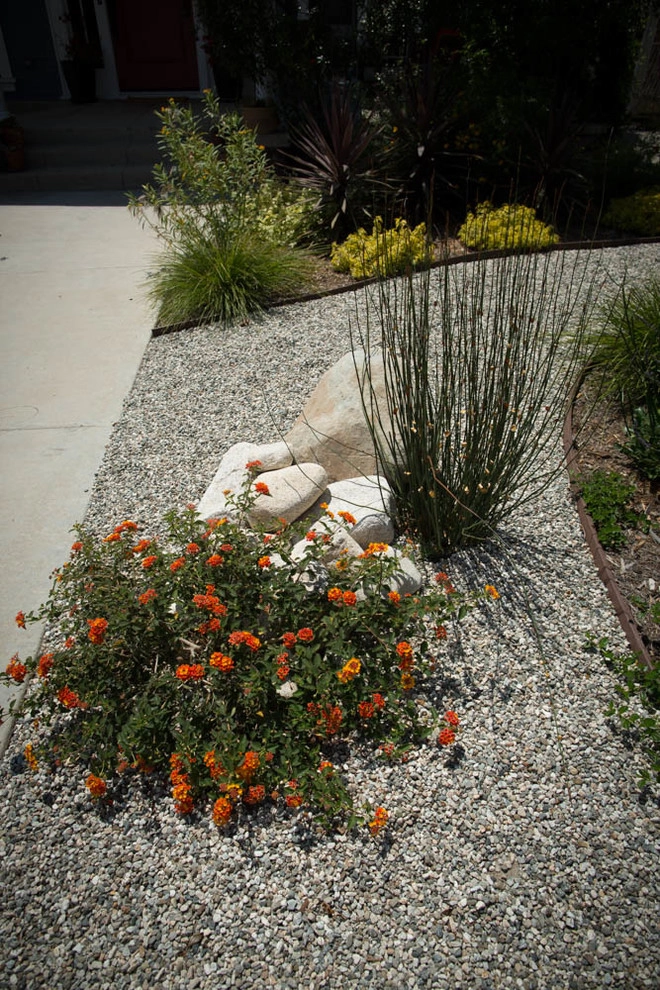 Viola Gardens Drought Tolerant Landscape Projects by Viola Gardens - Photo 5