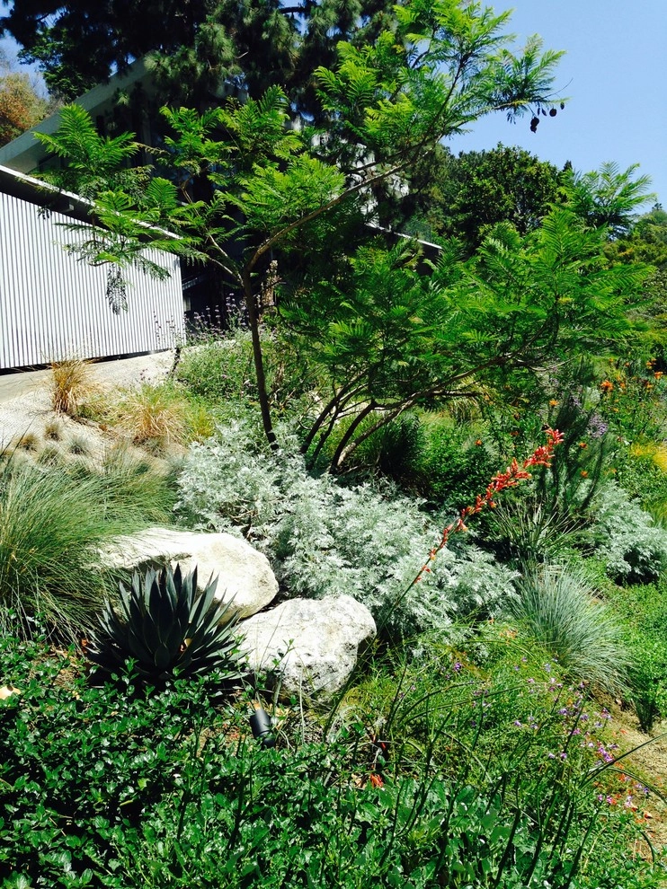 Viola Gardens - Photo 6