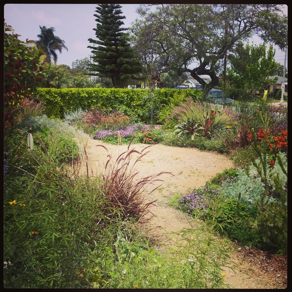 Viola Gardens Drought Tolerant Landscape Projects by Viola Gardens - Photo 13