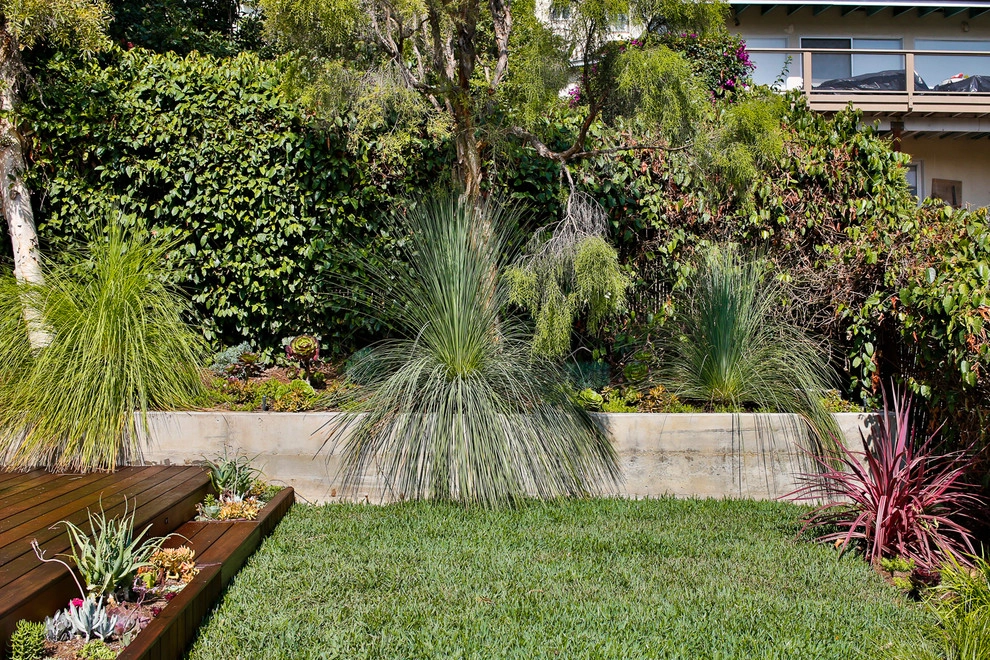Silverlake Poolside Drought Tolerant Garden by Viola Gardens - Photo 4