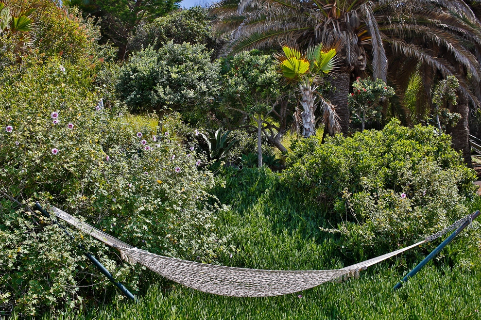 Malibu Drought Tolerant Hillside Oasis by Viola Gardens - Photo 8