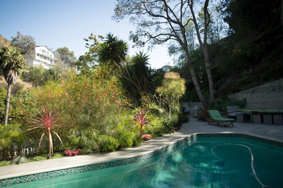Viola Gardens Drought Tolerant Landscape Projects by Viola Gardens - Photo 8