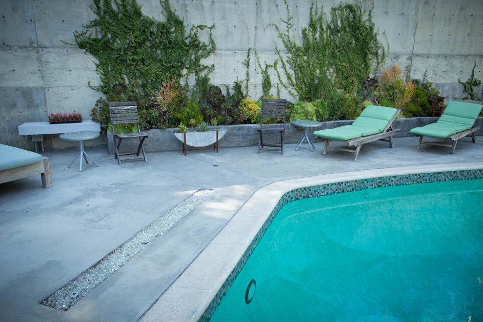 Viola Gardens Drought Tolerant Landscape Projects by Viola Gardens - Photo 40