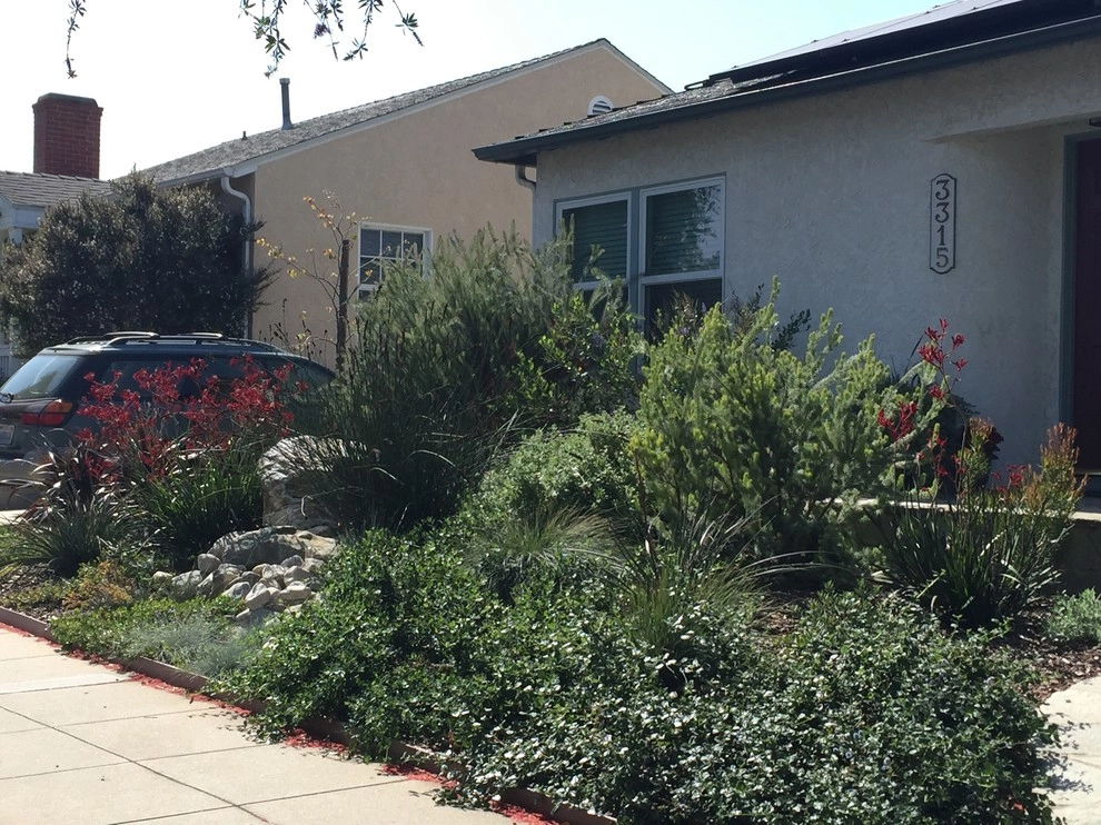 Viola Gardens Drought Tolerant Landscape Projects by Viola Gardens - Photo 36