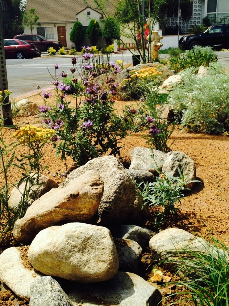 Viola Gardens Drought Tolerant Landscape Projects by Viola Gardens - Photo 18