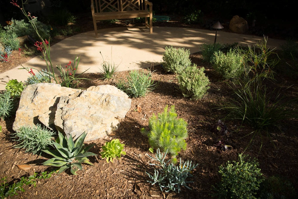 Viola Gardens Drought Tolerant Landscape Projects by Viola Gardens - Photo 48