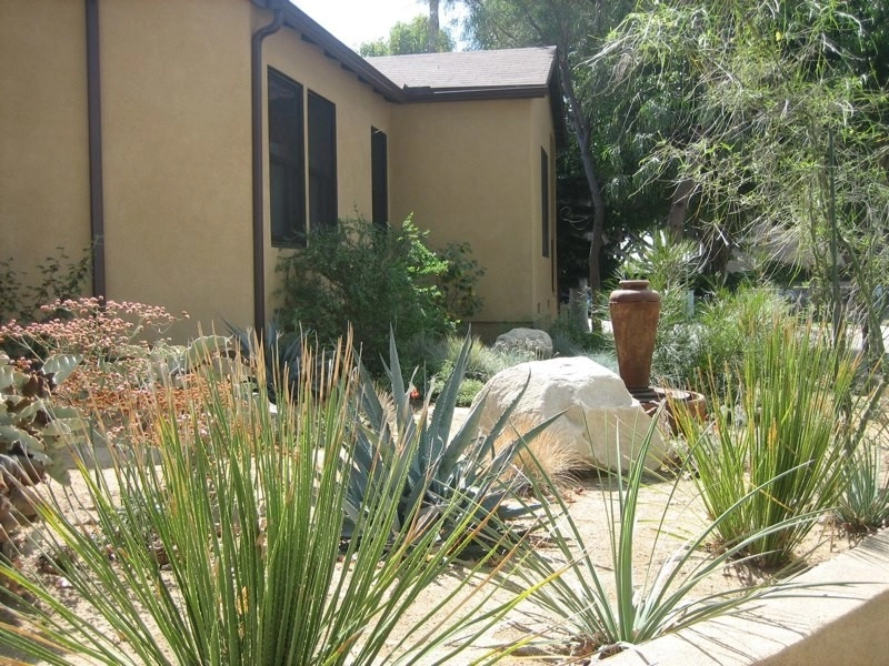 Viola Gardens Drought Tolerant Landscape Projects by Viola Gardens - Photo 34