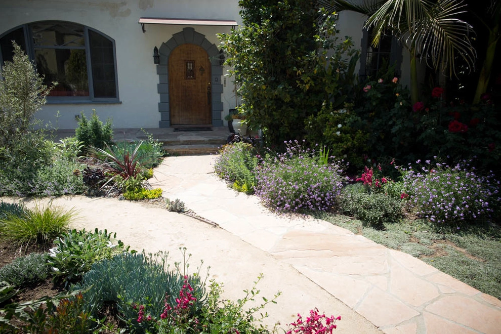 Viola Gardens Drought Tolerant Landscape Projects by Viola Gardens - Photo 9