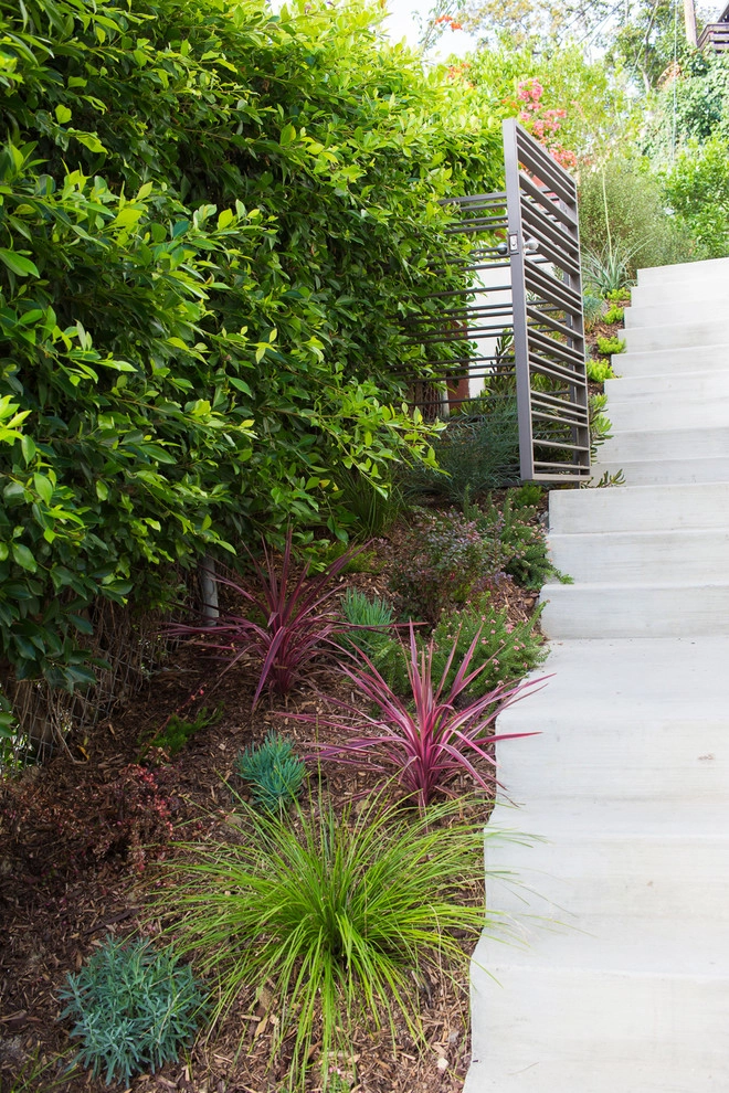 Larissa Drive Drought Tolerant Garden by Viola Gardens - Photo 5