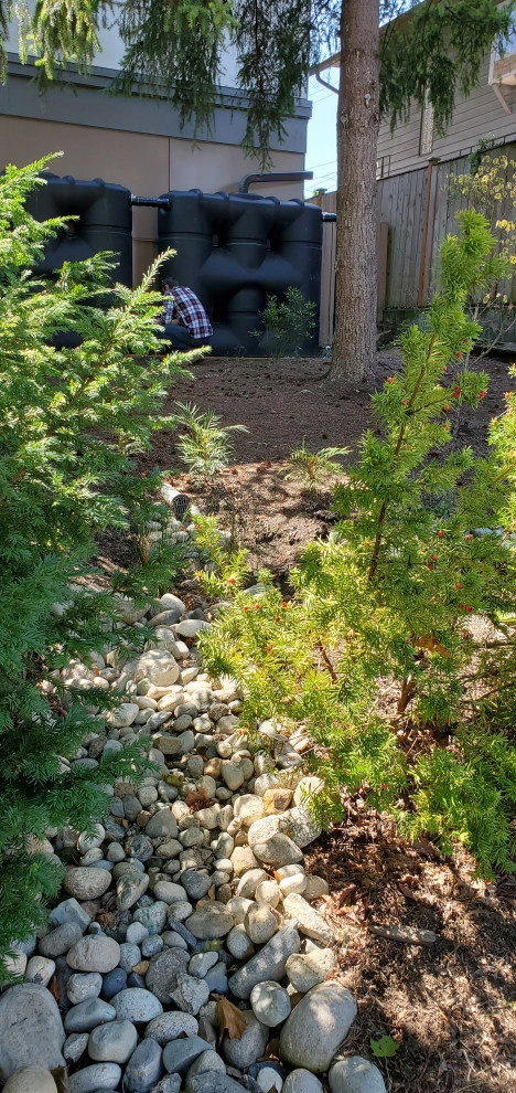 Seattle RainWise Cisterns by Vireo Design Studio, LLC - Photo 4