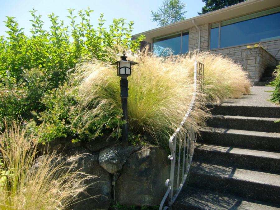 Viewridge Residence by Vireo Design Studio, LLC - Photo 4