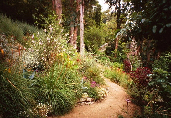 Hillsides by W Garett Carlson, ASLA - Photo 2