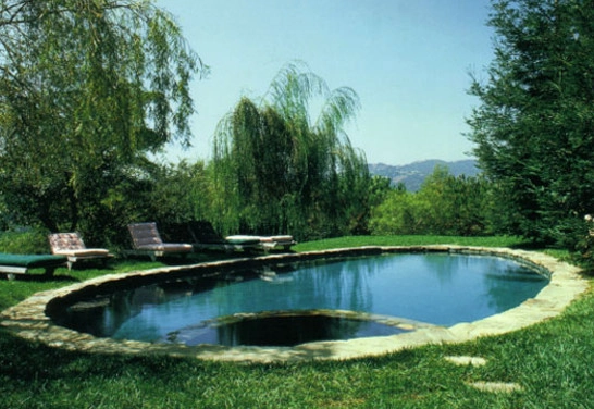 Pools & Water Features by W Garett Carlson, ASLA - Photo 7