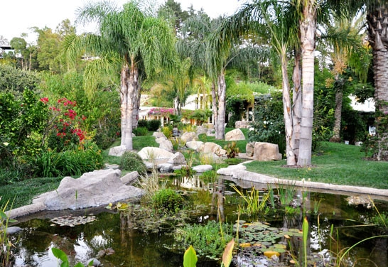 Pools & Water Features by W Garett Carlson, ASLA - Photo 4