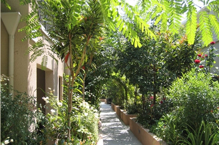 Skyline Village - Rooftop Garden by W Garett Carlson, ASLA - Photo 3