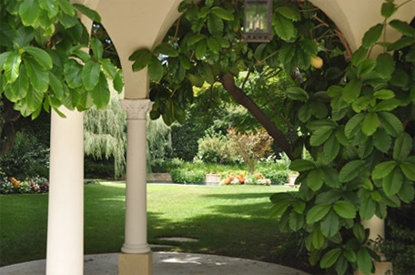 Beverly Hills Residence by W Garett Carlson, ASLA - Photo 4