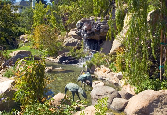 Pools & Water Features by W Garett Carlson, ASLA - Photo 10