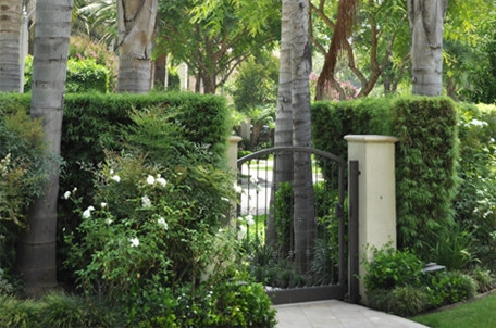 Beverly Hills Residence by W Garett Carlson, ASLA - Photo 2