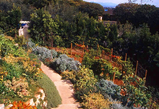Hillsides by W Garett Carlson, ASLA - Photo 4