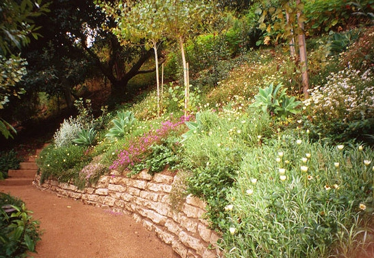 W Garett Carlson, ASLA - Photo 4