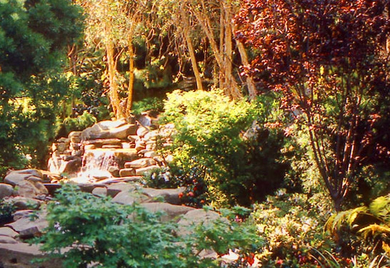 Pools & Water Features by W Garett Carlson, ASLA - Photo 12