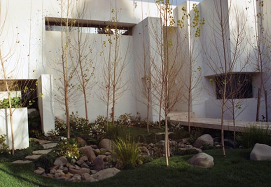 Pools & Water Features by W Garett Carlson, ASLA - Photo 5