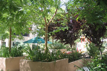Skyline Village - Rooftop Garden by W Garett Carlson, ASLA - Photo 2