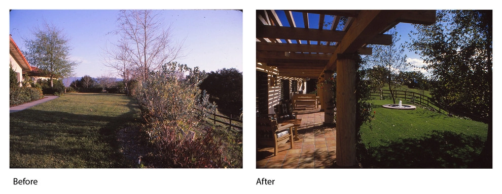 Before and After by W Garett Carlson, ASLA - Photo 4