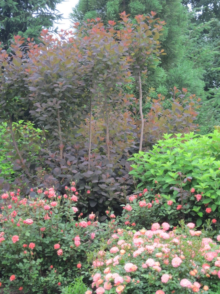 Distinctive Gardens by Wallace Landscape Associates - Photo 11