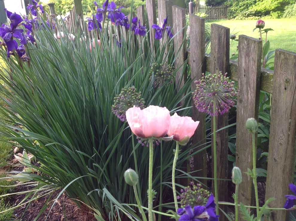 Details by Wallace Landscape Associates - Photo 17