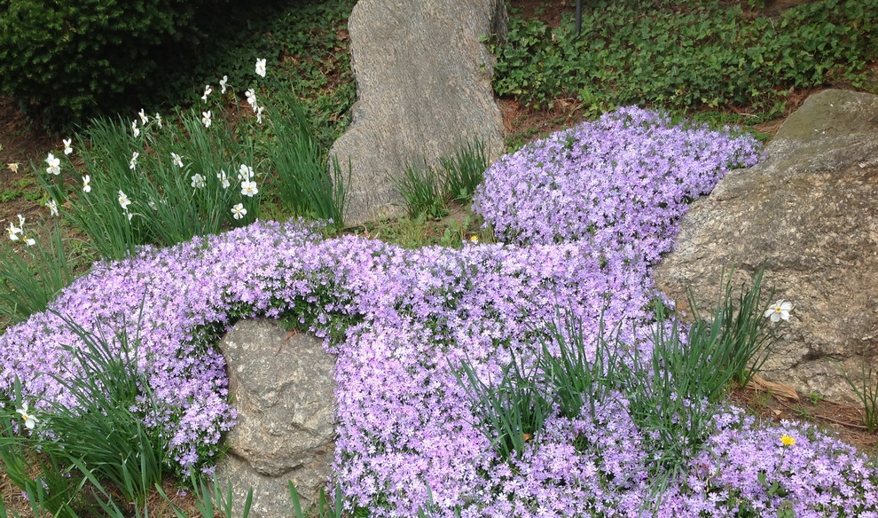 Details by Wallace Landscape Associates - Photo 10