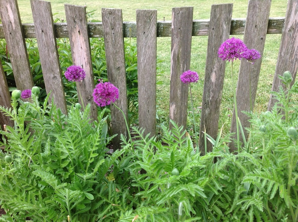 Details by Wallace Landscape Associates - Photo 21