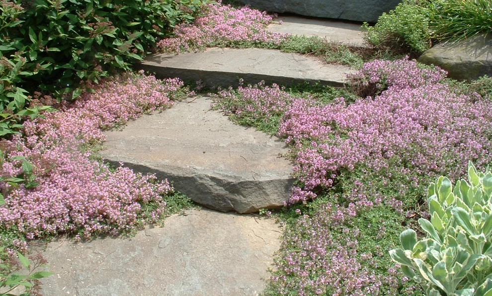 Details by Wallace Landscape Associates - Photo 22