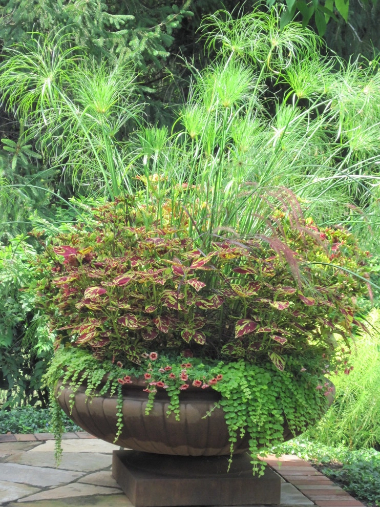 Details by Wallace Landscape Associates - Photo 7